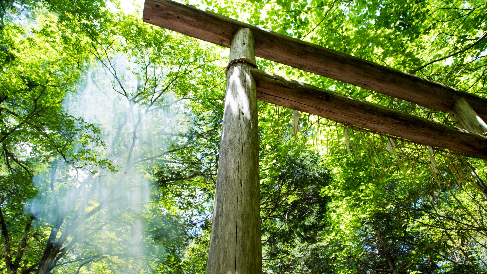 必要な時に必要な人が現れる