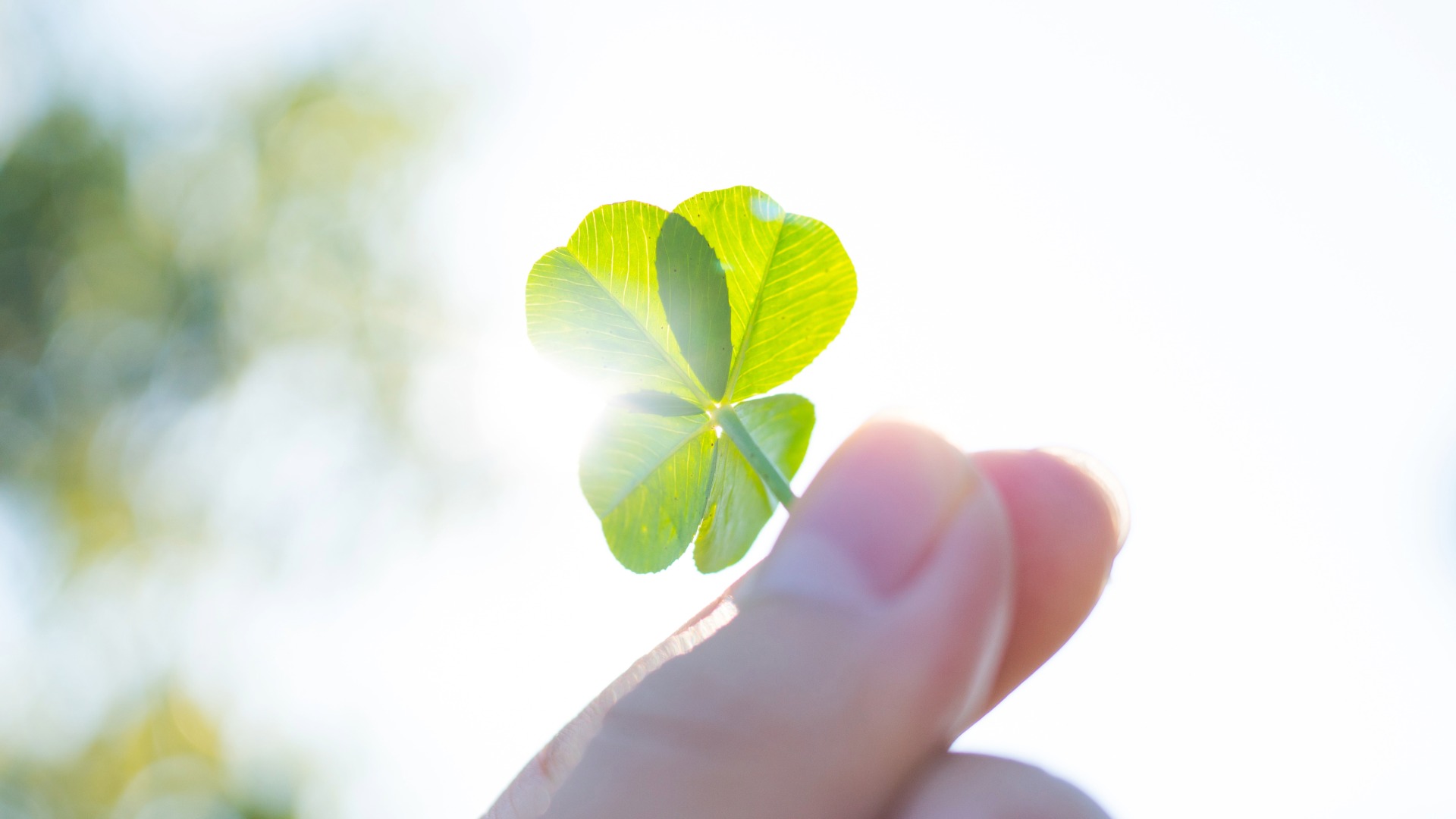 幸運へのサインが日常に現れます
