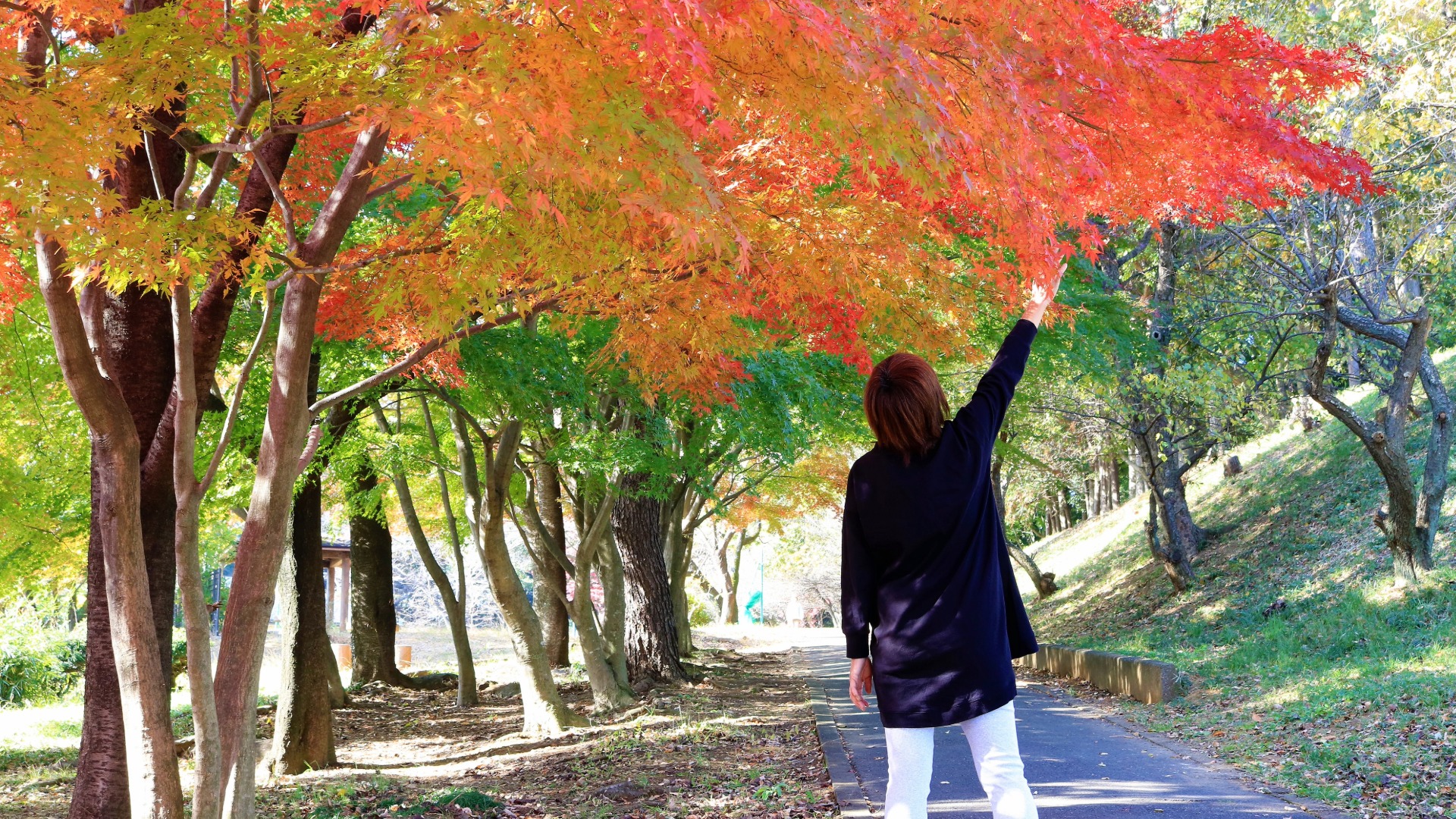 60代女性の体験談